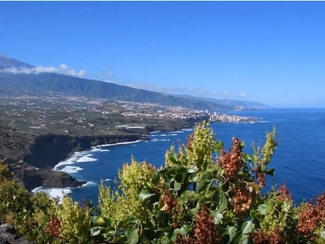 Know santa ursula. Costa acentejo protected landscape Coral Hotels