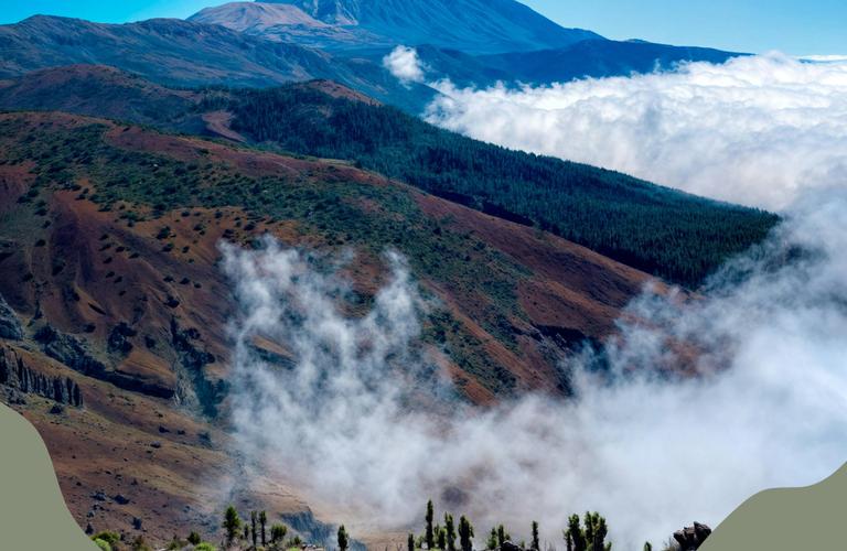 Coral Hotels Coral Hotels