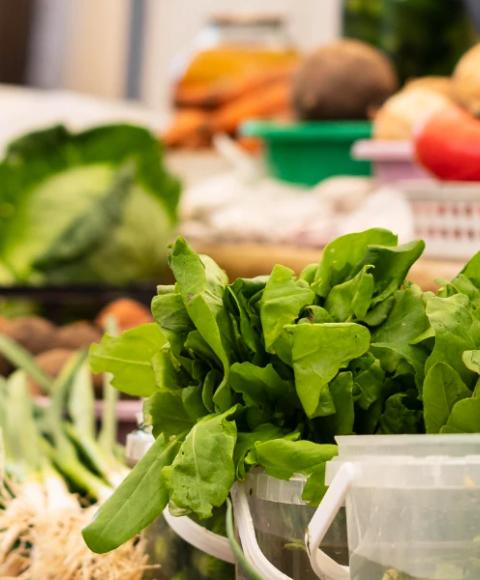 Local consumption Coral Hotels Local consumption Coral Hotels