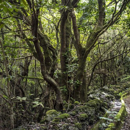 Apartments Coral Los Silos Apartments Coral Los Silos